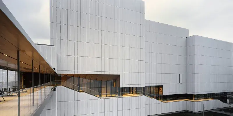 Expanded metal cladding