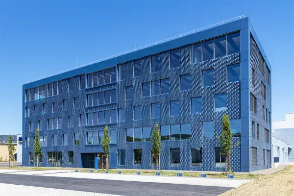 Building covering with expanded metal panels 