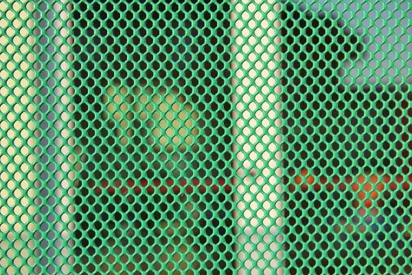 Green round holed expanded metal fence panel